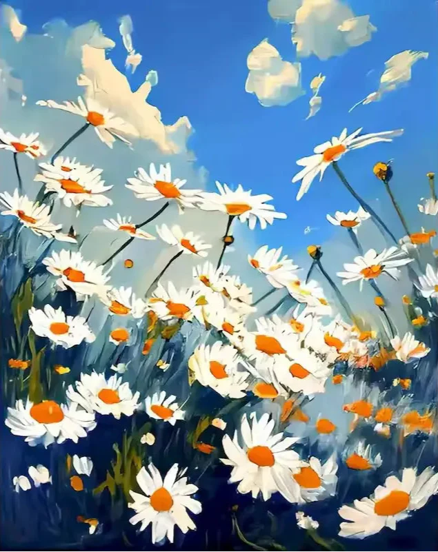Daisies field - Paint by numbers