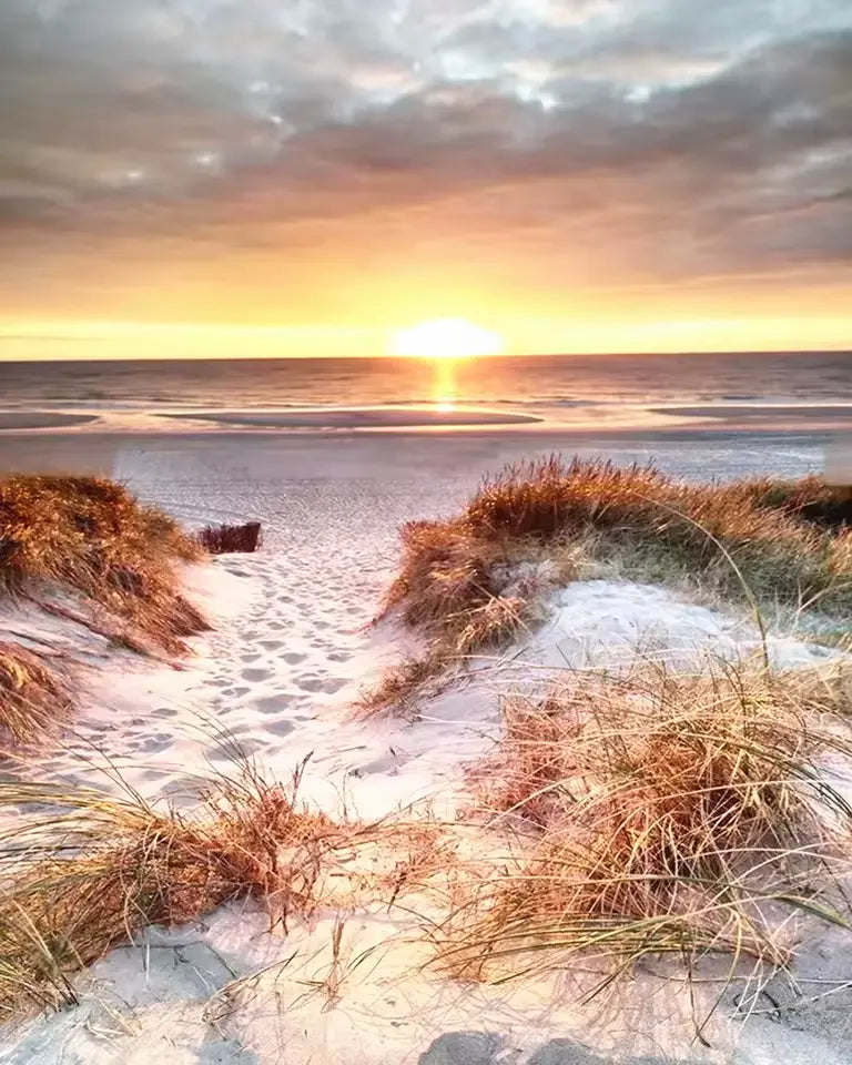 Sunset on the beach overlooking the ocean - Paint by numbers