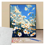 Daisies field - Paint by numbers