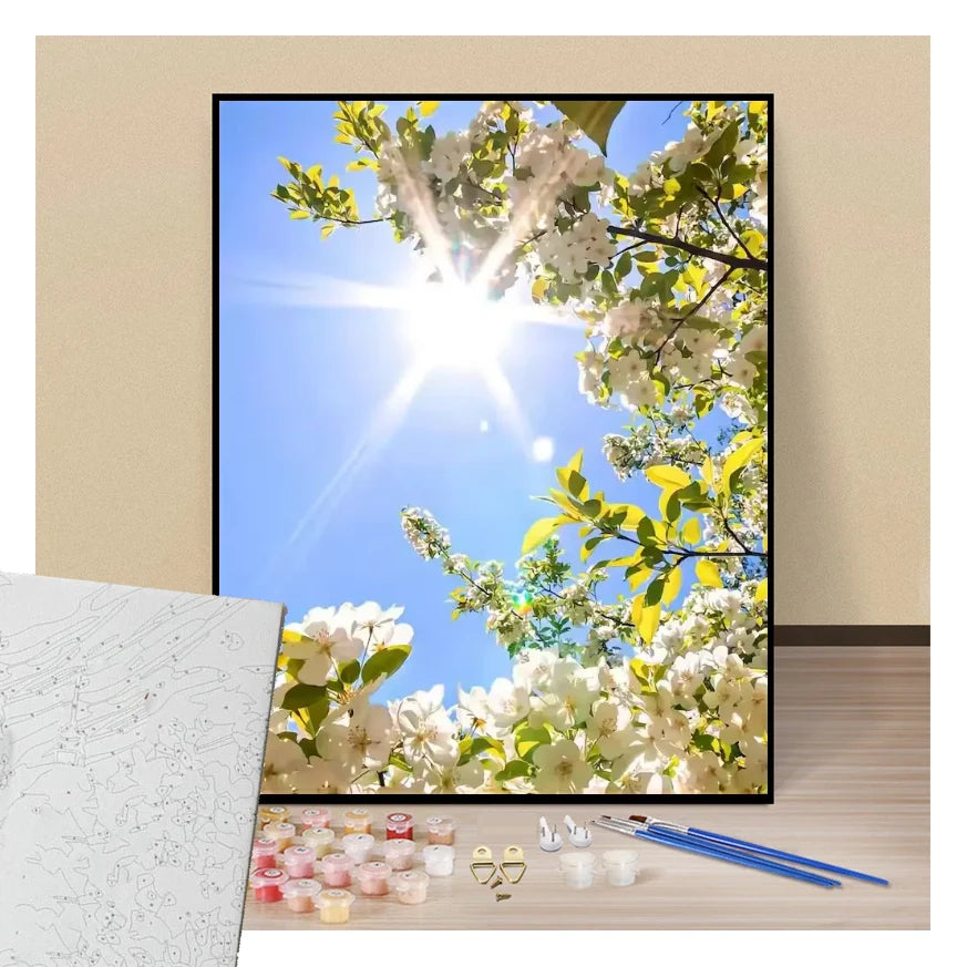 Sunbeam - Paint by numbers