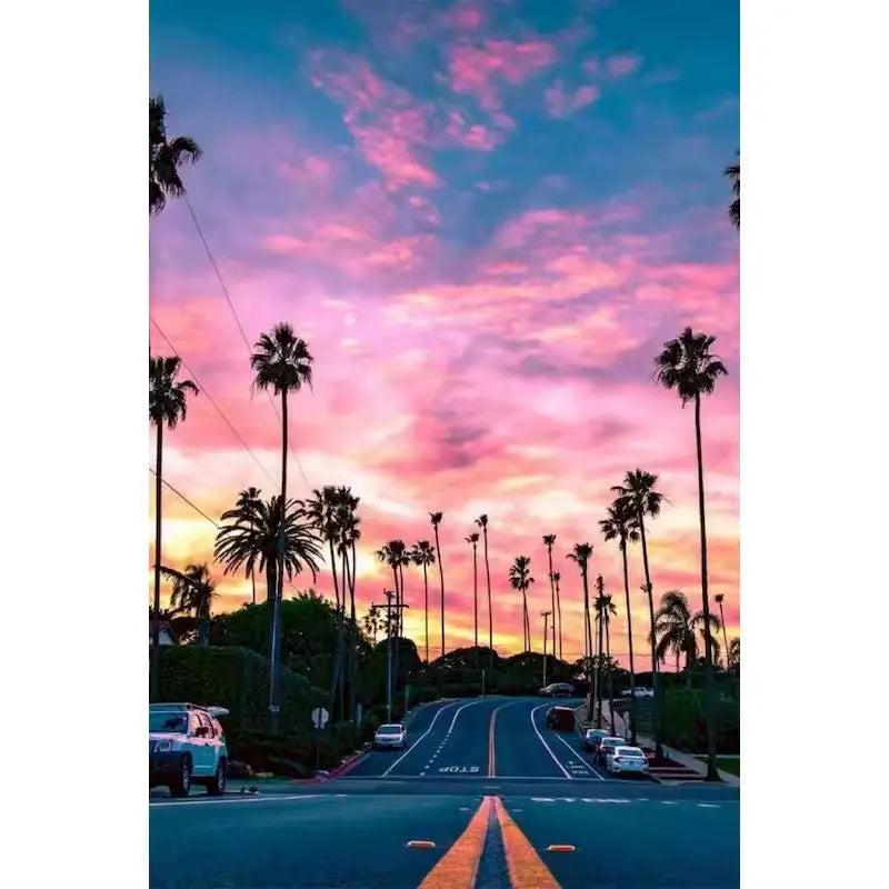 Palm-lined street at sunset - Paint by numbers