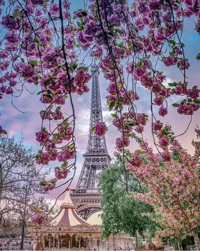 Flowering trees and the Eiffel Tower- Paint by numbers