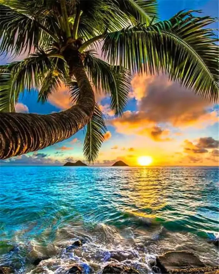 Dawn in the tropics - Paint by numbers